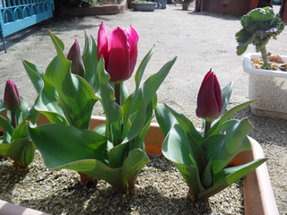 DSCF7073.JPG
