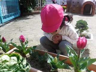 DSCF7077.JPG