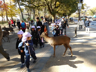 DSCN3033.JPG