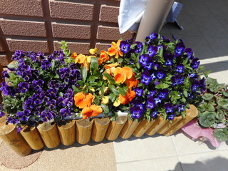 DSCN4006.JPG