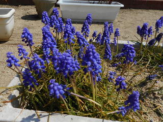 DSCN4009.JPG