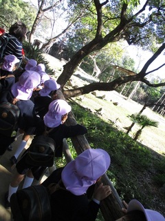doubutu12.jpg