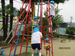 こんな野菜を育てているよ★年少組★