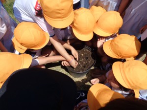 年中組☆かぼちゃを植えたり製作をしたよ！