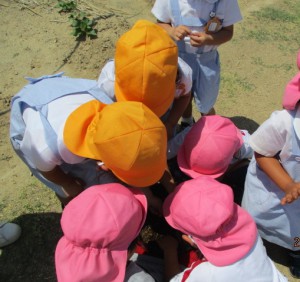 年中組☆かぼちゃを植えたり製作をしたよ！