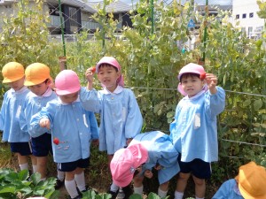 年中組　いちご狩り