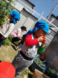 5月の乳児クラス