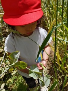 5月の乳児クラス