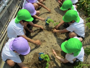 神様、美味しい食べ物をありがとう♪＊年長組＊