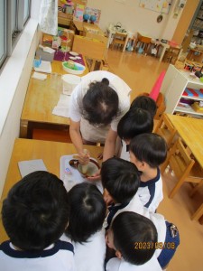 ★今週の年少組★