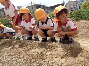 年中組　畑に行ったよ！！