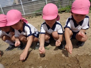 年中組　畑に行ったよ！！