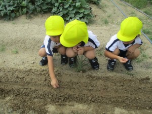 年少組！大池公園にお散歩に行ったよ！