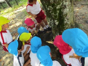 年少組！大池公園にお散歩に行ったよ！