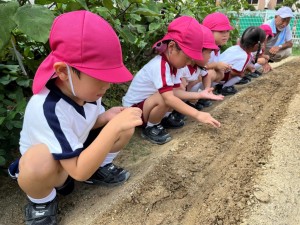 年少組！大池公園にお散歩に行ったよ！