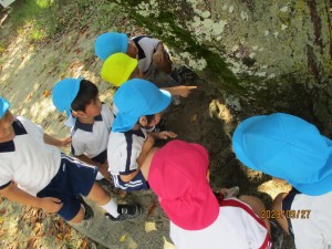年少組！大池公園にお散歩に行ったよ！