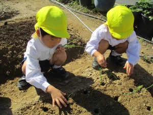 年中組とパラバルーンをしたよ★