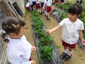 ★年中組の様子★