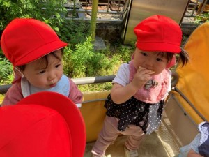 瓢箪山駅までお散歩＊あひる・ひよこ組＊