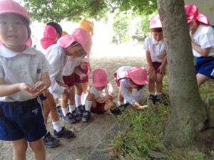 ★☆年中組☆★