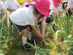 年少組！自然にいっぱい触れてすごしています★★