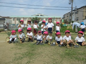 年少組！自然にいっぱい触れてすごしています★★