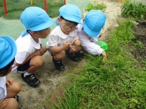 年少組！自然にいっぱい触れてすごしています★★