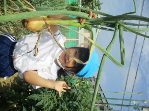 年少組！自然にいっぱい触れてすごしています★★