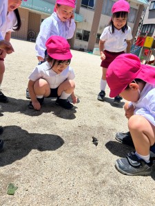 年少組　今週も楽しいことがいっぱいあったね★