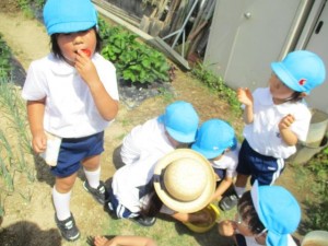 年少組　今週も楽しいことがいっぱいあったね★