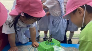 ★年中組★　　～最近の出来事～