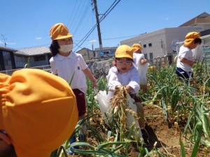 ★年中組★　　～最近の出来事～