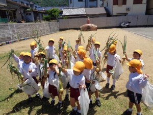 ★年中組★　　～最近の出来事～