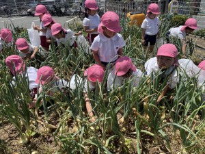 ★年中組★　　～最近の出来事～