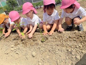 ★年中組★　　～最近の出来事～