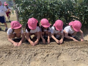 ★年中組★　　～最近の出来事～