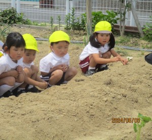 年少組　６月になりました★