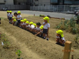 年少組　６月になりました★