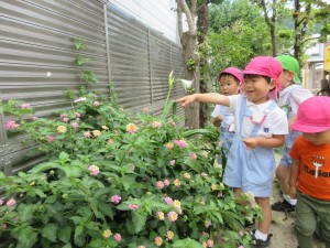 年少組　６月になりました★