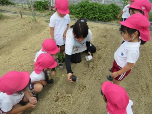 年少組　６月になりました★