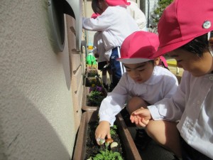 ★年少組　もうすぐ幼稚園はじめてのクリスマス★