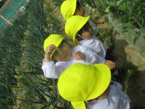 ☆年少組☆　たくさんのことに挑戦！！