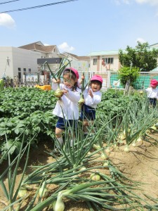 ☆今週の年少組☆