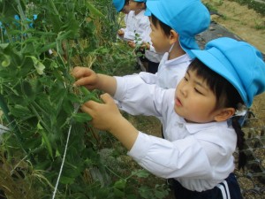 ☆今週の年少組☆