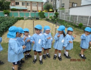 ☆今週の年少組☆