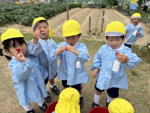 ☆今週の年少組☆