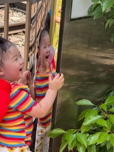 瓢箪山駅までお散歩＊あひる・ひよこ組＊