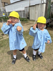 ★今週の年少組★