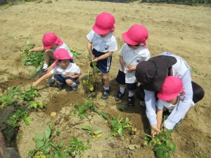 ★今週の年少組★