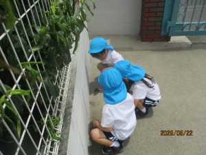 ★今週の年少組★